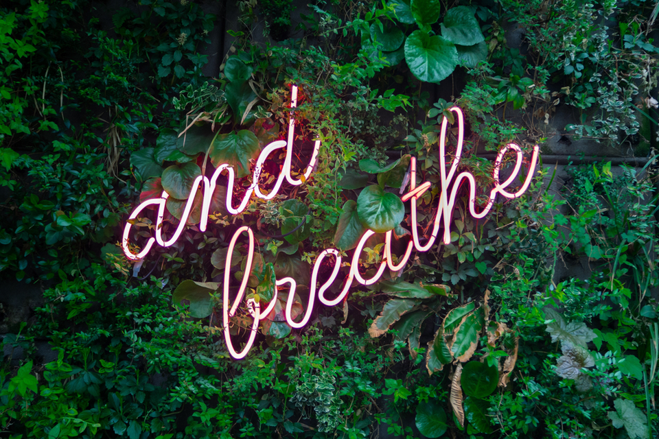 Neon sign that says "and breathe" in front of green leafy background